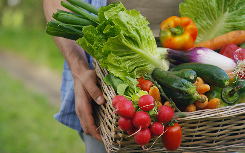 Hände halten einen Weidekorb mit frischem Gemüse