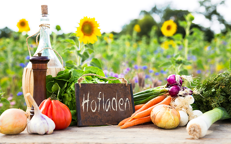 Frisches Gemüse auf einem Tisch, im Hintergrund ein Sonnenblumenfeld.